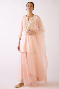 Shop baby pink embroidered cotton silk sharara suit online in USA. Shop the best and latest designs in embroidered sarees, designer sarees, Anarkali suit, lehengas, sharara suits for weddings and special occasions from Pure Elegance Indian fashion store in USA.-full view