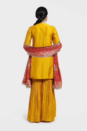 Buy yellow embroidered silk gharara suit online in USA with pink dupatta. Shop the best and latest designs in embroidered sarees, designer sarees, Anarkali suit, lehengas, sharara suits for weddings and special occasions from Pure Elegance Indian fashion store in USA.-back