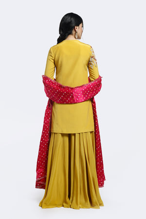 Shop yellow embroidered crepe sharara suit online in USA with bandhej dupatta. Shop the best and latest designs in embroidered sarees, designer sarees, Anarkali suit, lehengas, sharara suits for weddings and special occasions from Pure Elegance Indian fashion store in USA.-back