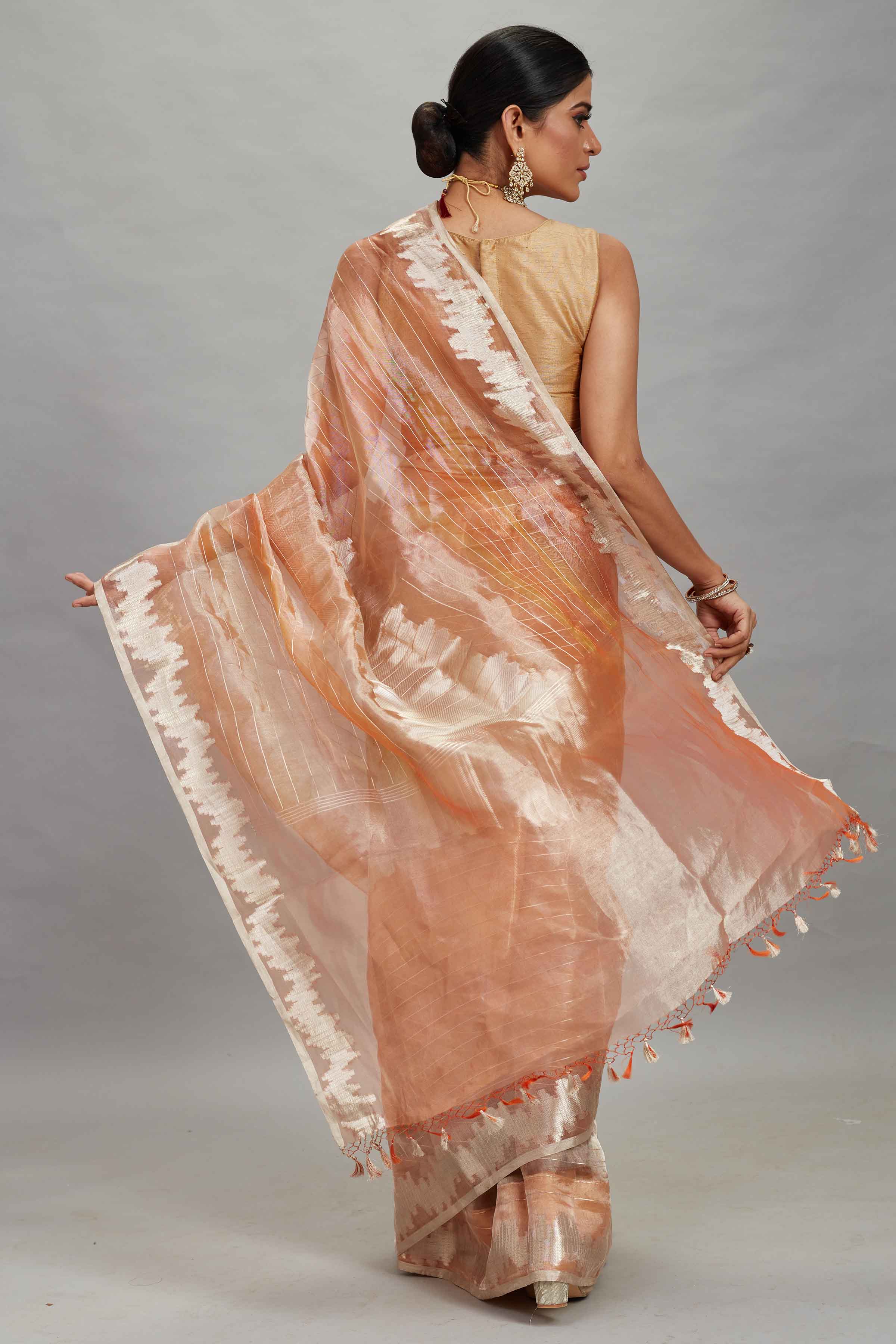 Buy peach striped tissue Banarasi saree online in USA. Look your best on festive occasions in latest designer sarees, pure silk sarees, Kanjivaram silk saris, handwoven saris, tussar silk sarees, embroidered saris from Pure Elegance Indian clothing store in USA.-back