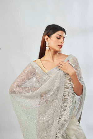 Buy light grey embroidered sequin net sari online in USA. Look your best on festive occasions in latest designer saris, pure silk saris, Kanjivaram silk sarees, handwoven saris, silk sarees, linen sarees,  embroidered sarees from Pure Elegance Indian clothing store in USA.-closeup