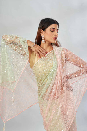 Shop powder pink and green embroidered net sari online in USA with overall embroidery. Look your best on festive occasions in latest designer saris, pure silk saris, Kanjivaram silk sarees, handwoven saris, tussar silk sarees, linen sarees,  embroidered sarees from Pure Elegance Indian clothing store in USA.-closeup