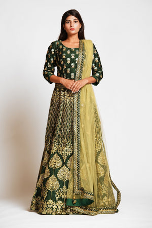 Buy Hi Speed Enterprise Women's Silk Lehenga choli (Golden Green  Lehenga_Green_Free Size) at Amazon.in