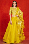 30Z158-RO Yellow organza layered Lehenga with dupatta