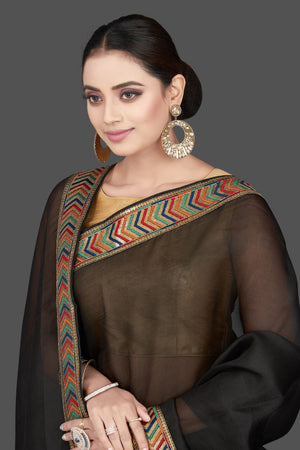 Shop the Stunning Brown Saree Collection Now